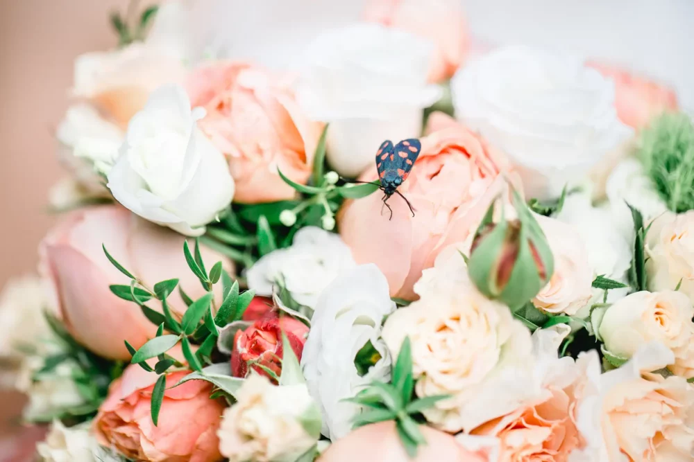 Schmetterling auf Brautstrauß in lachs, apricot und weiß zur Hochzeit im Winzerhof Stahl mit Fotograf bei Würzburg