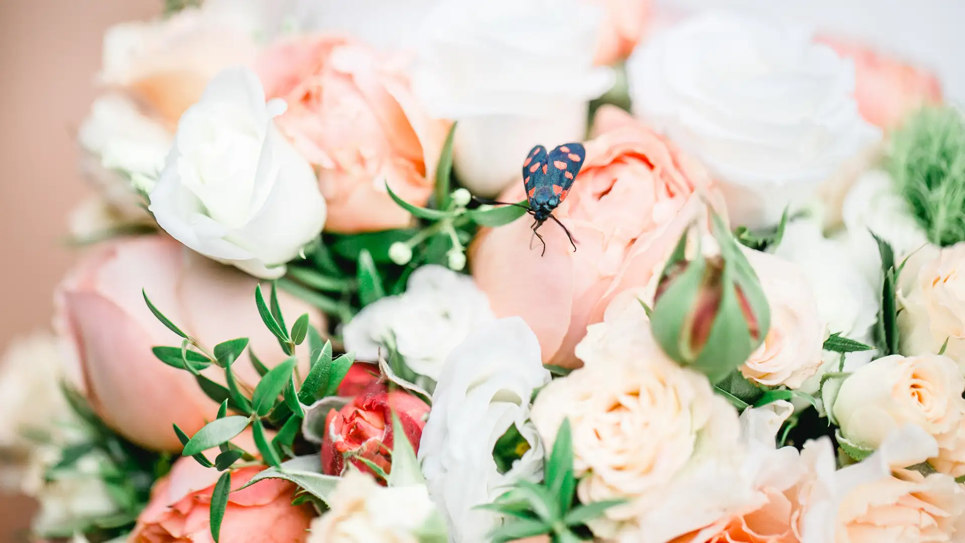fotograf-hochzeit-wuerzburg-winzerhof-stahl-1920 Fotograf auf Hochzeit im Winzerhof Stahl