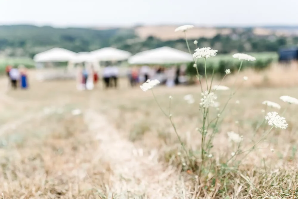 Fotograf zur Hochzeit im Freien bei Würzburg bei Hochzeitslocation für freie Trauung auf der Wiese