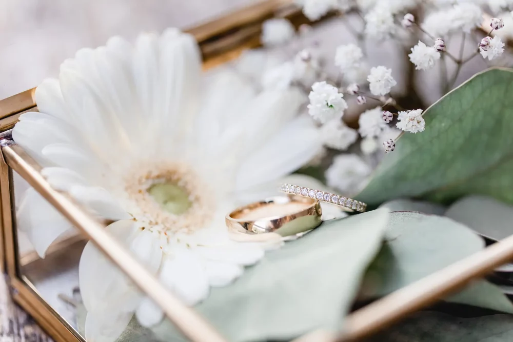 Hochzeitsfoto der Eheringe im Standesamt Schwabach zur Hochzeit mit Fotograf in Hochzeitslocation Nürnberg Gwächshaus