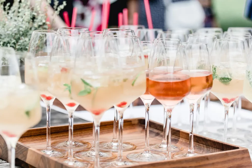 hochzeitsfotografin-meier-hilzhofen-20 Empfang mit Aperitif zur Hochzeit im Landgasthof Meier